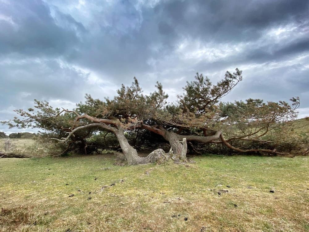 Tranquil Retreat in Rageleje-by Traum