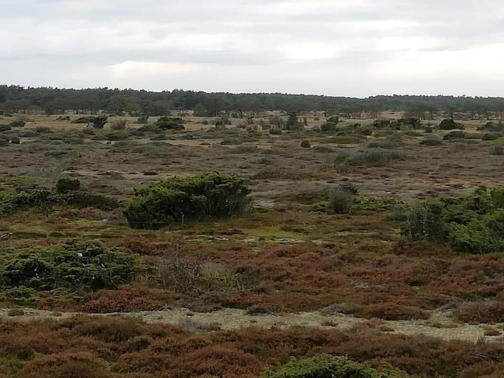 4 Person Holiday Home in Hadsund