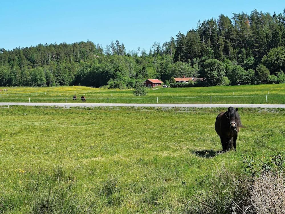 4 Person Holiday Home in Ucklum