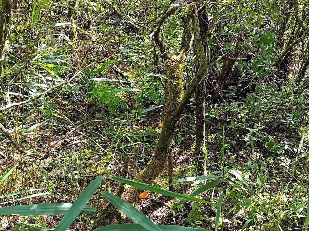 6 Person Holiday Home in Bredebro