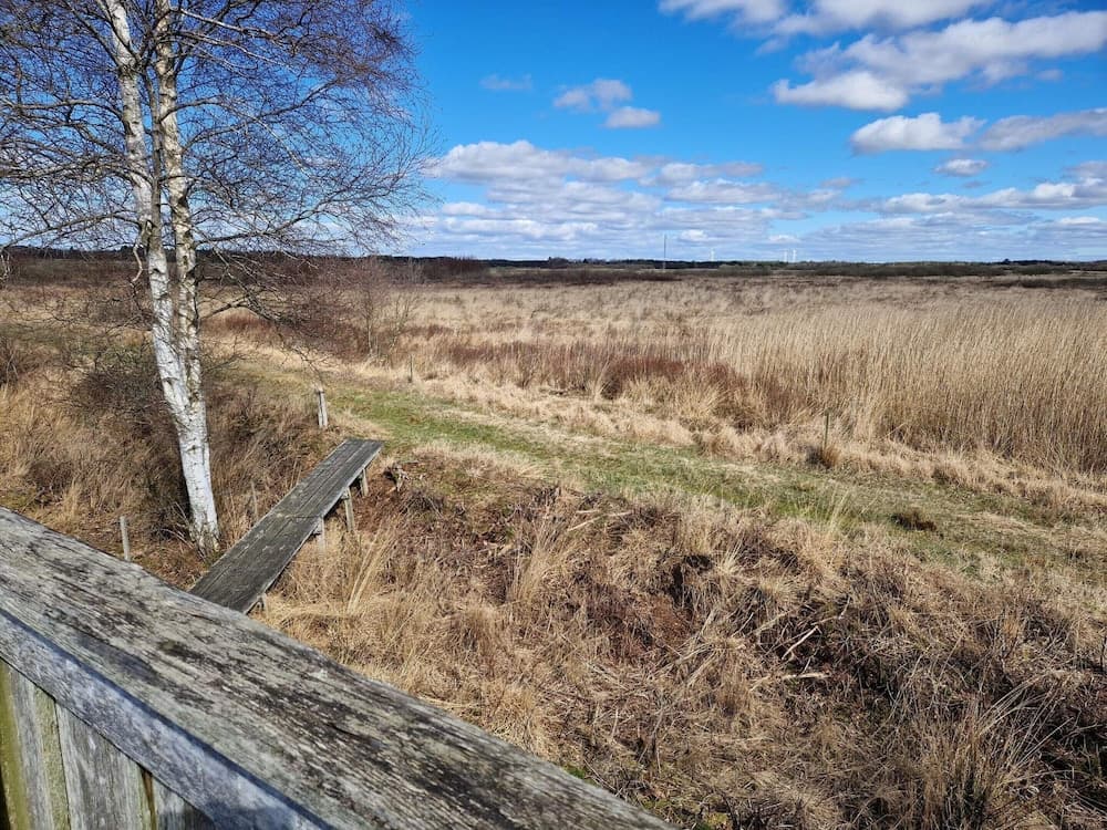 6 Person Holiday Home in Bredebro