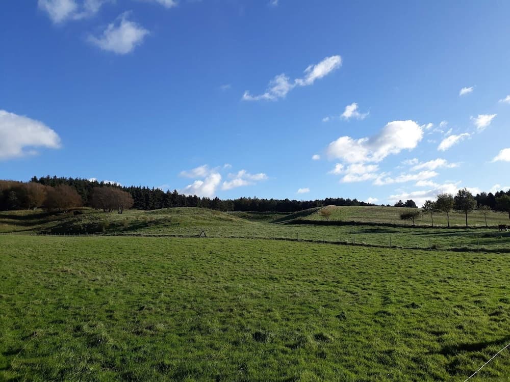 Sunny Retreat in Bonnerup Harbor-by Traum