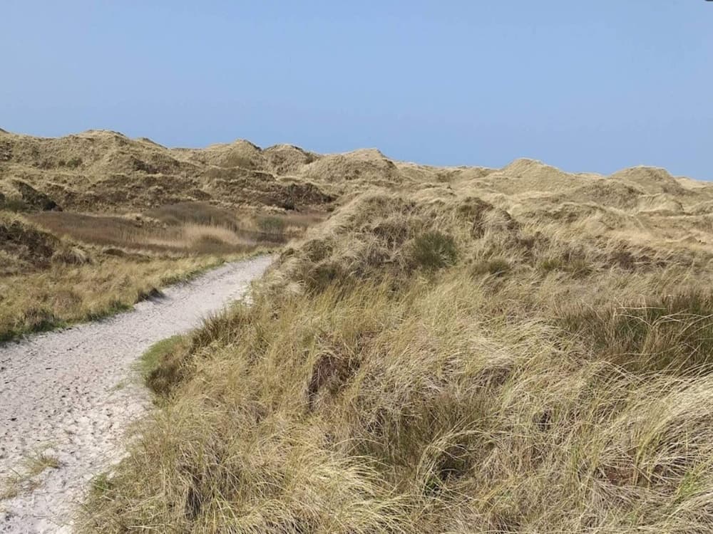 Holiday Home in Henne