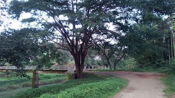 Family Villa is a hut Style Accommodation