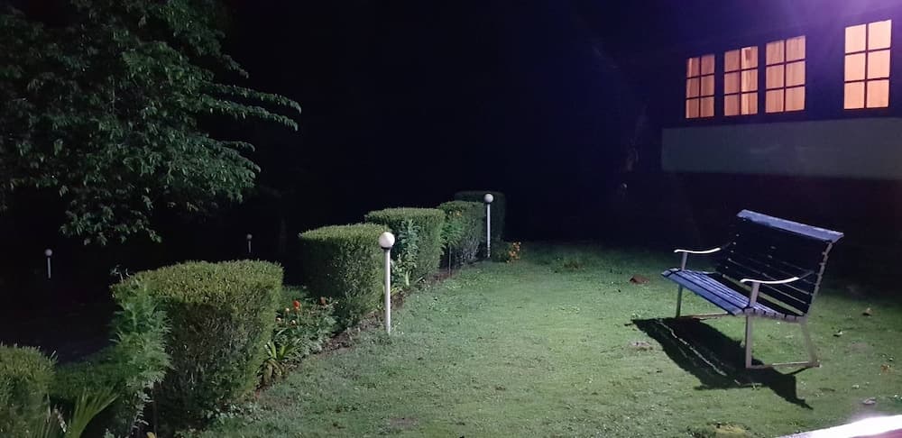 Bungalow With Tea Garden View