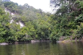 White Cliff Resort and Marina