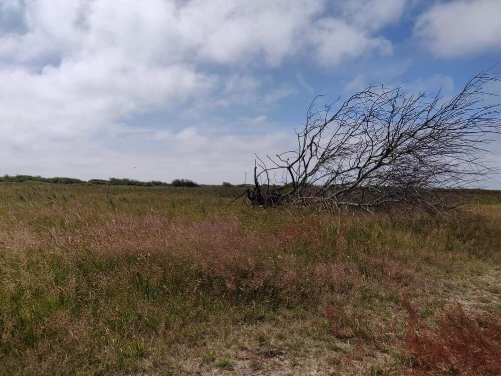 6 Person Holiday Home in Hvide Sande