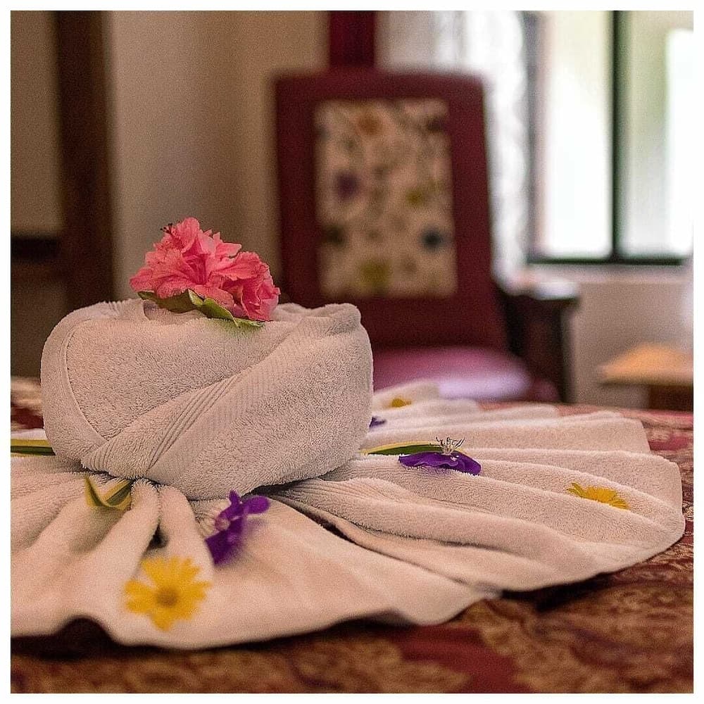 Casa Batsu Charming BnB