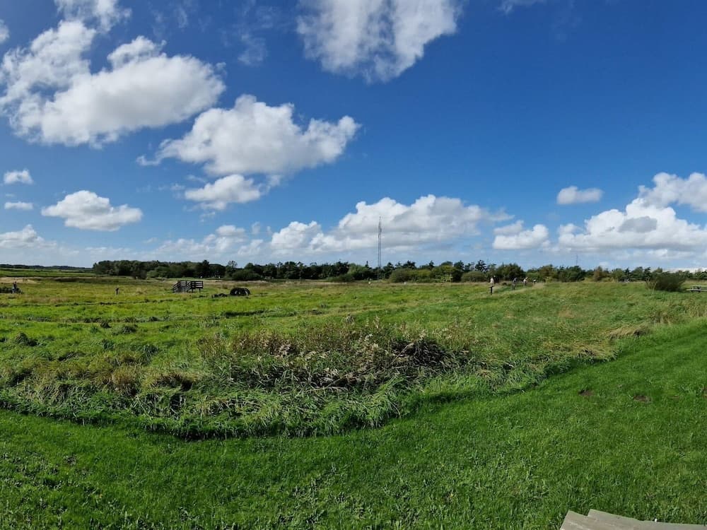 7 Person Holiday Home in Oksbol