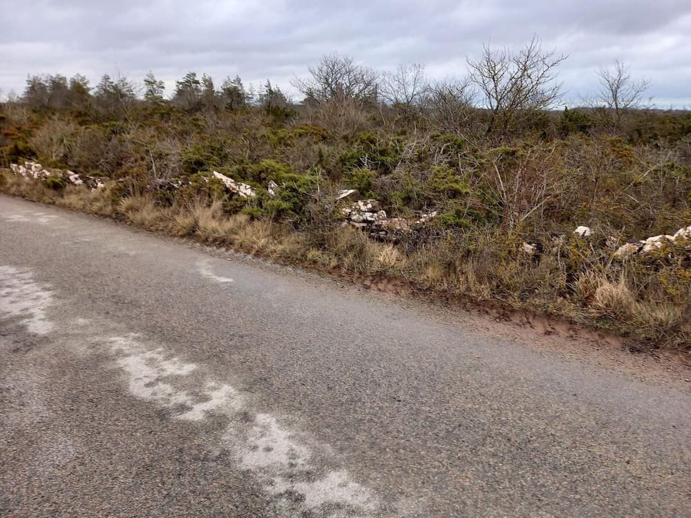 Nostalgic Island Idyll in Aaeu\"land-by Traum