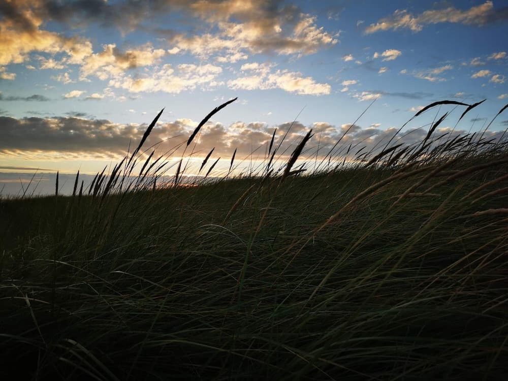 6 Person Holiday Home in Blavand