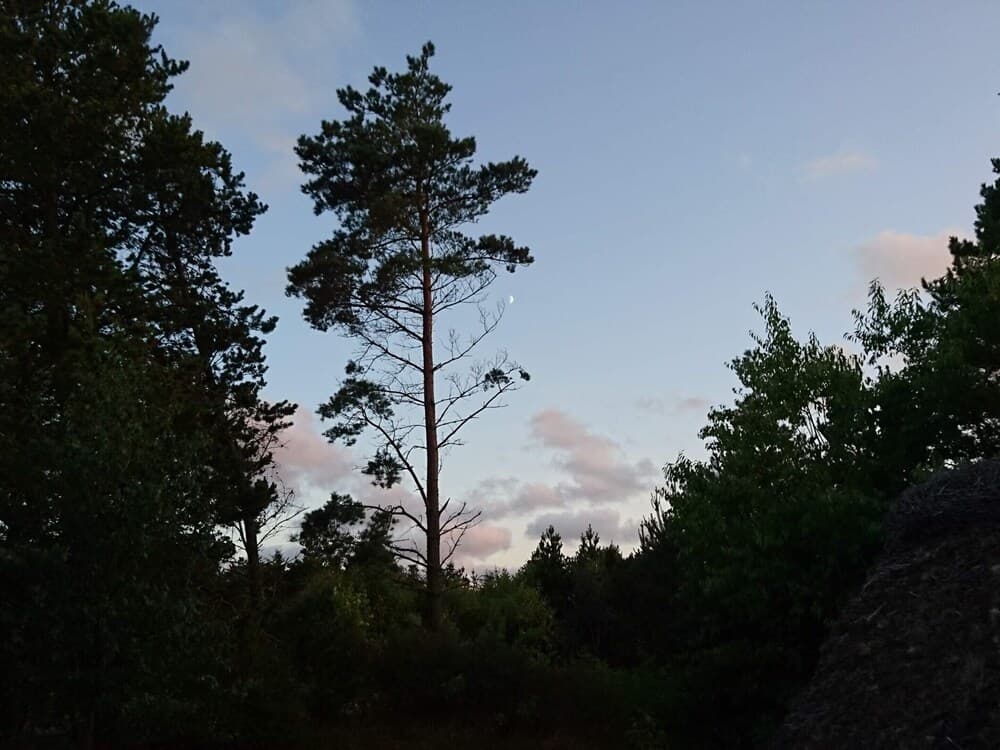 Bright Cottage With Covered Terrace-by Traum