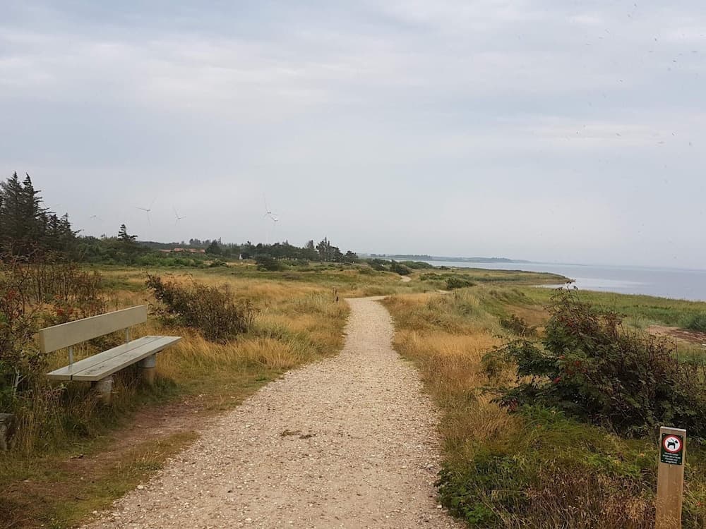 6 Person Holiday Home in Tarm