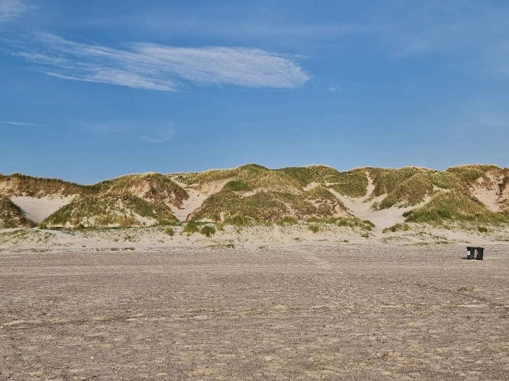 6 Person Holiday Home in Henne