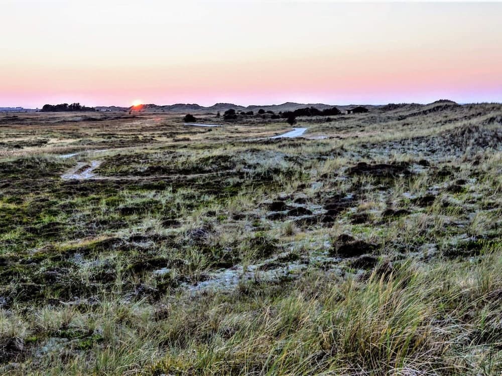 4 Person Holiday Home in Laeso