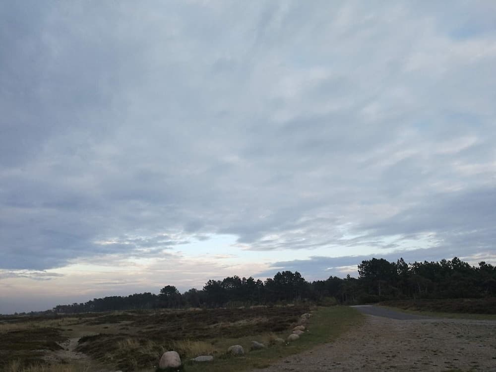 4 Person Holiday Home in Laeso