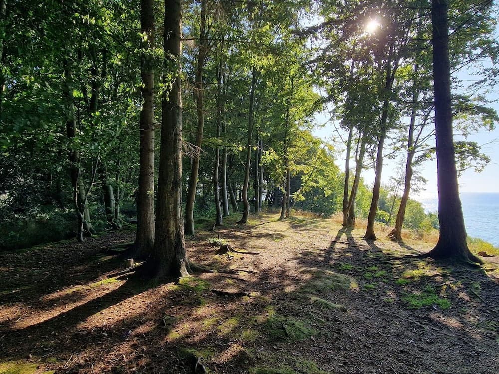 Holiday Home in Børkop