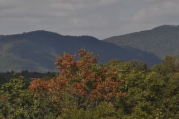 Treetops- Mtn View Cabin Near Ocoee River