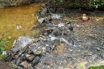 Twin Creeks- Near Ocoee River