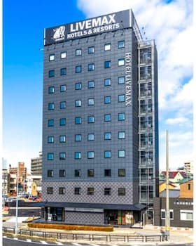 HOTEL LiVEMAX OKAZAKI