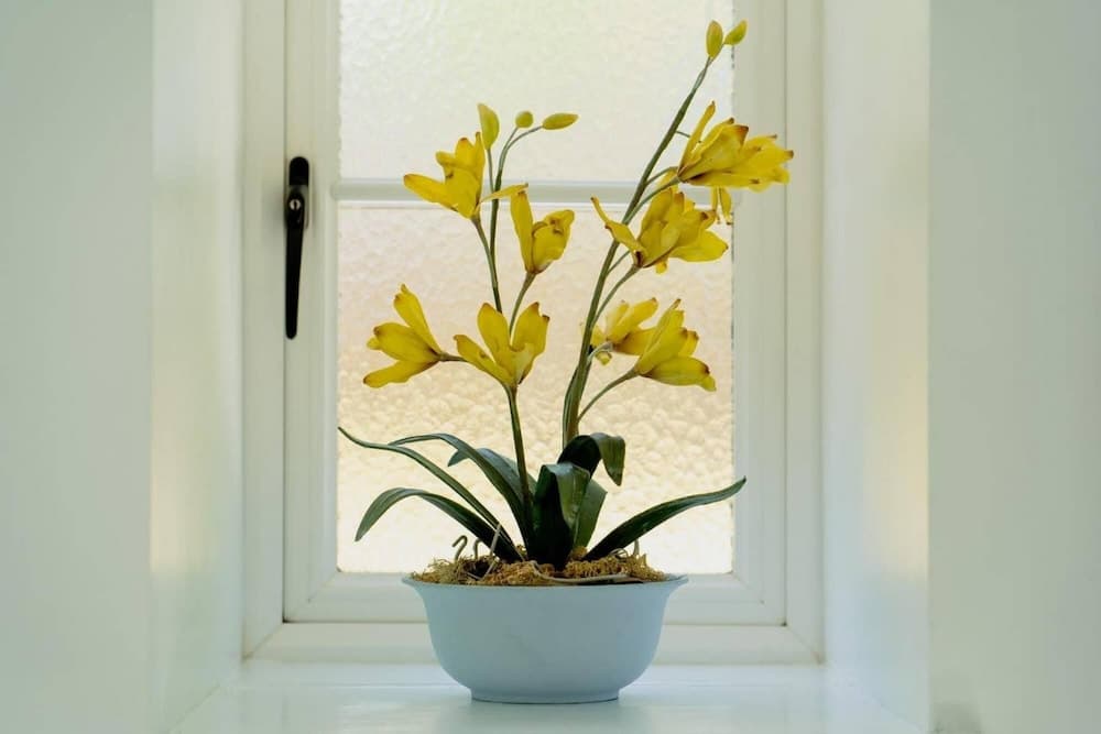 Strelna Coach House - Gateway to the Moor