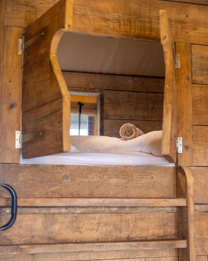 Luxury Safari Lodge Surrounded by Deer!! 'fallow'