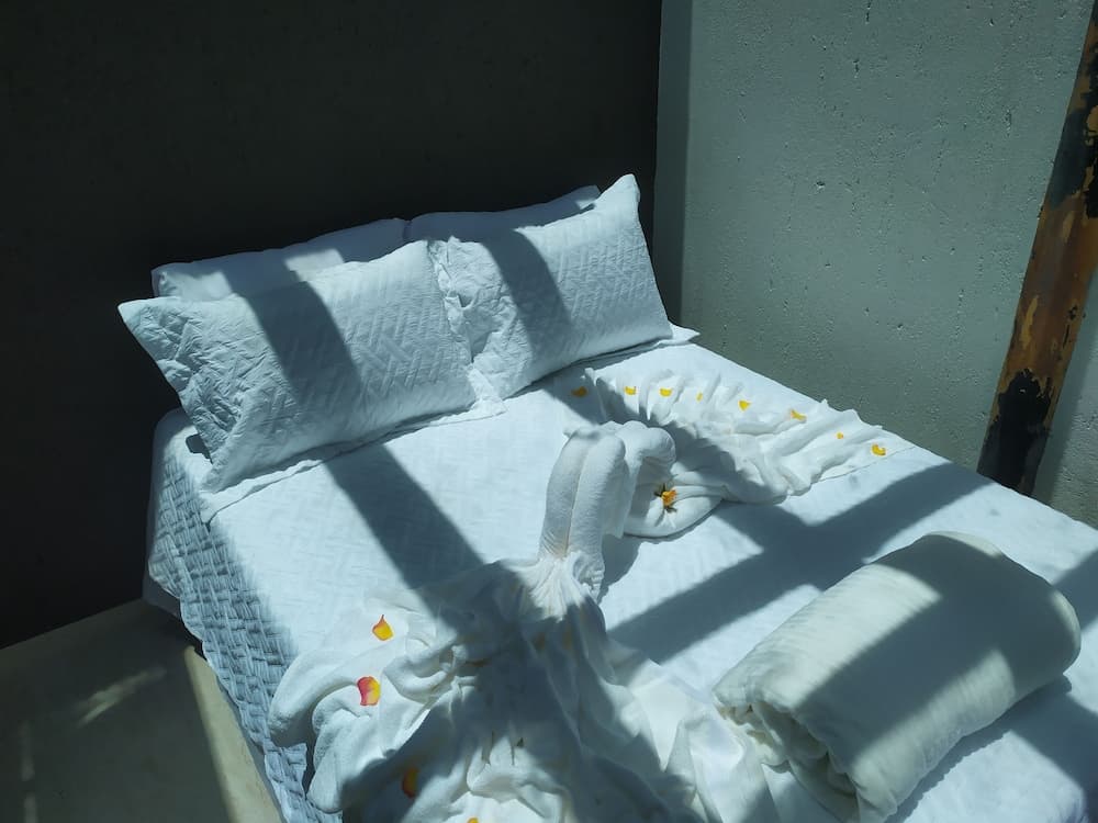 Moradas Rosa dos Casais