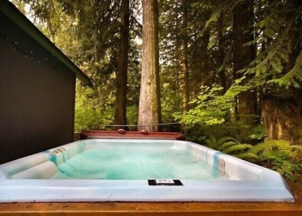 Mt Baker Lodging Cabin 60 - Sleeps 2