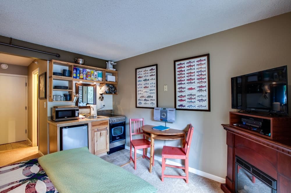 Mt Baker Lodging Condo 37 - Sleeps 2