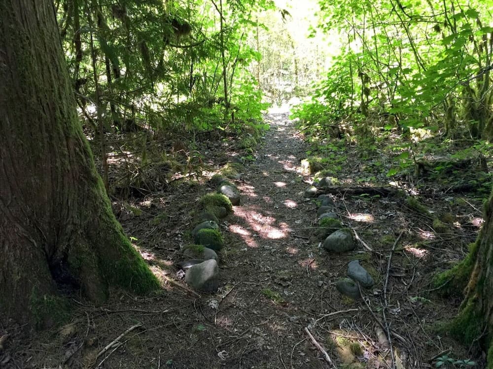 Mt Baker Lodging Cabin 70 - Sleeps 8