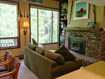 Mt Baker Lodging Condo 59 Sleeps 6