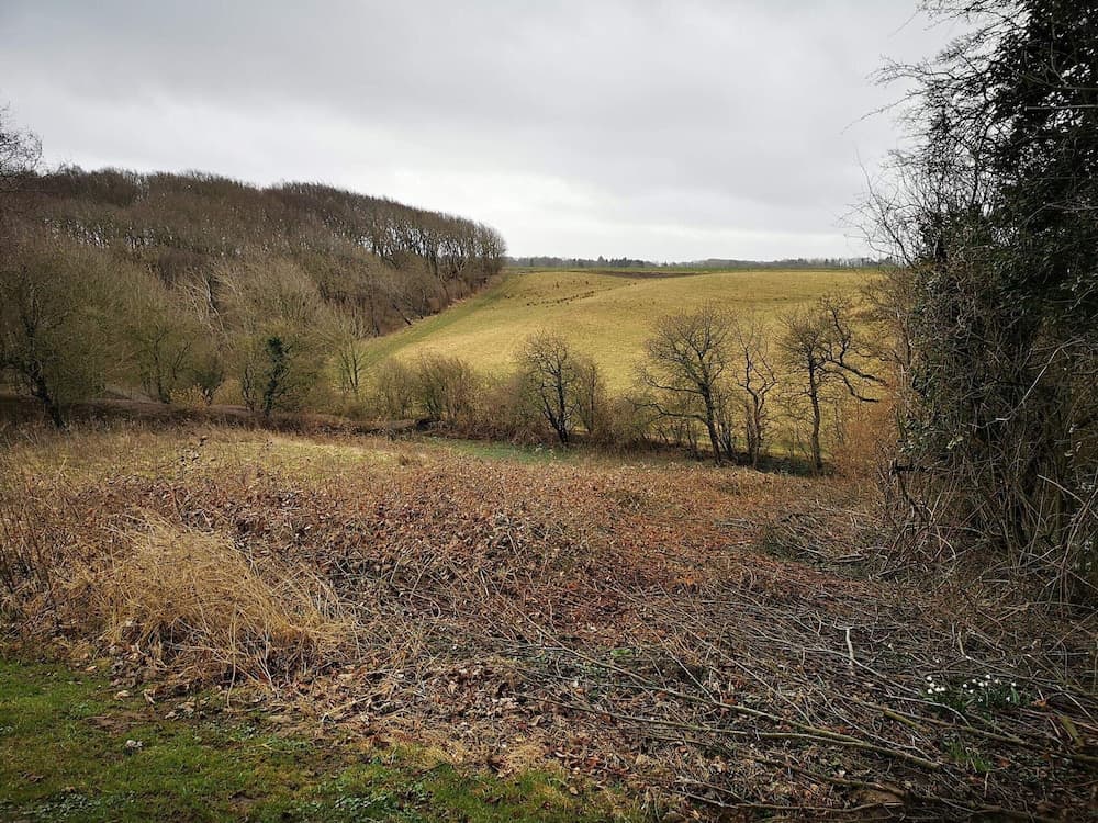 6 Person Holiday Home in Roslev