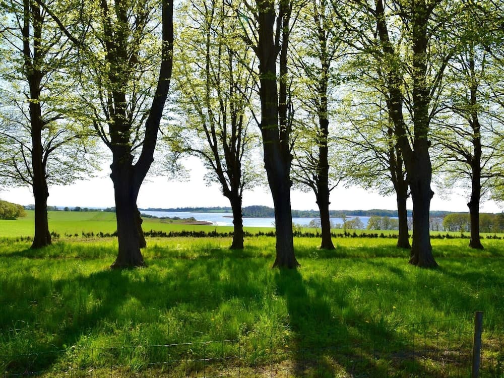 6 Person Holiday Home in Rude