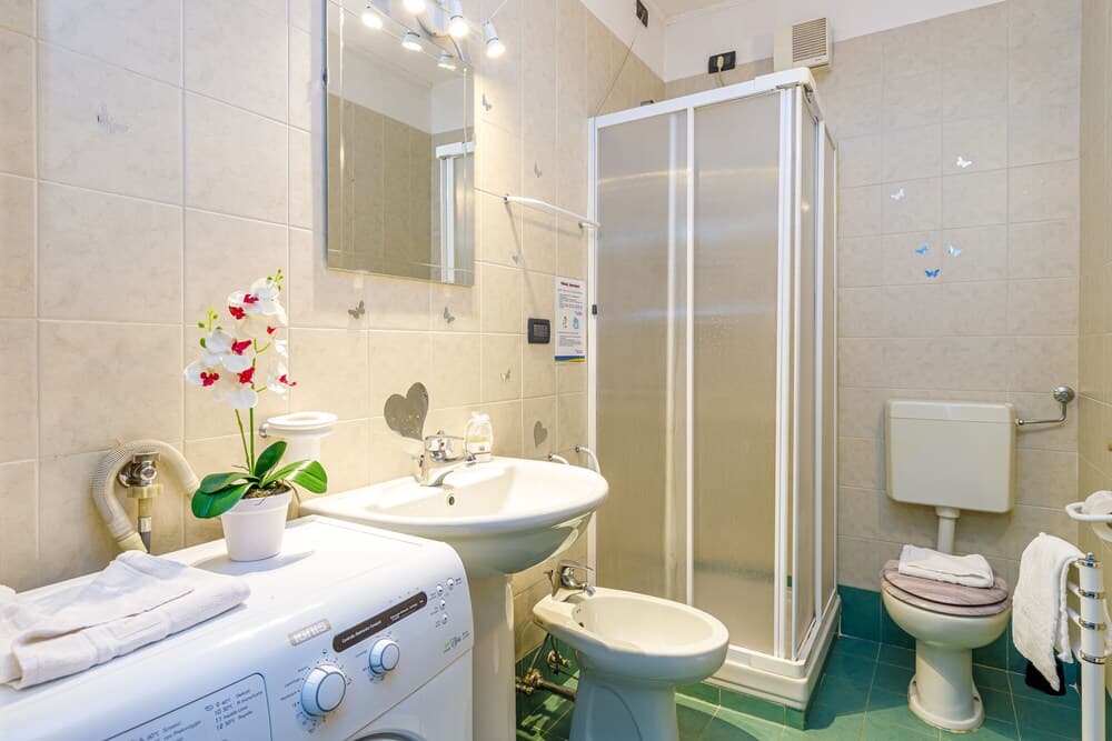 Magnolia In Sirmione