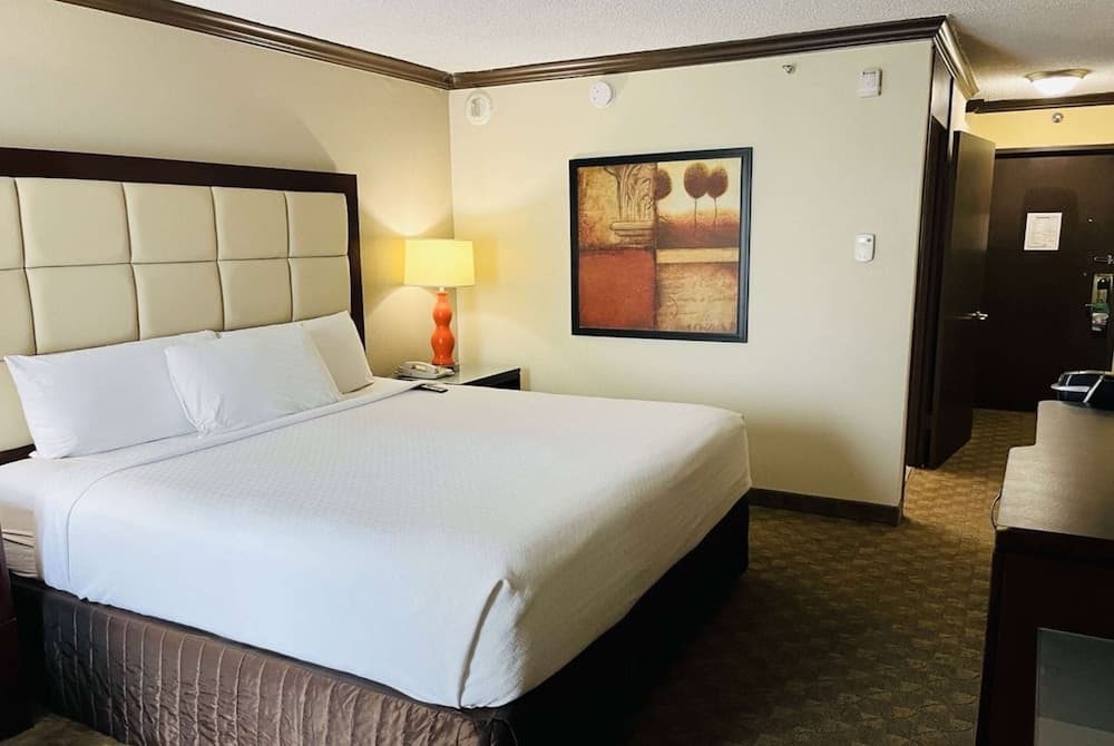 Wingate Houston near NRG Park/Medical Center