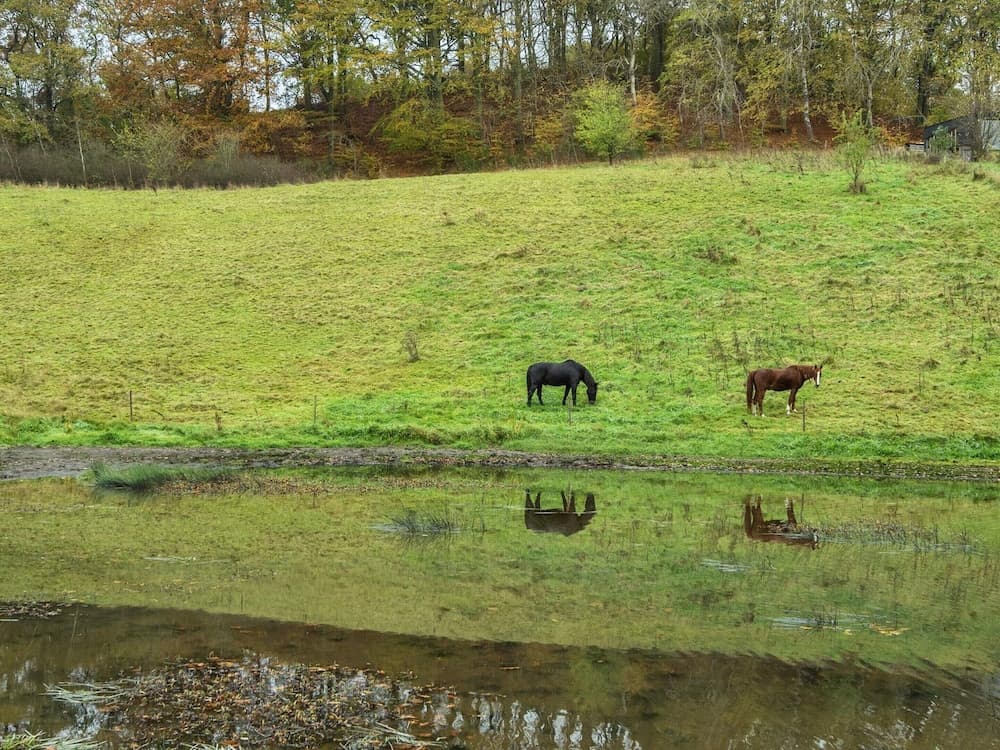 Beachside Bliss in Blokhus-by Traum