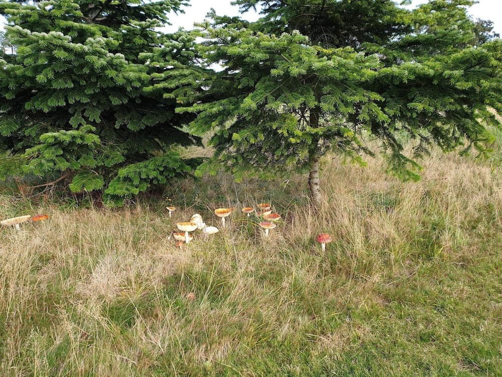 Holiday Home in VÃ¦ggerlÃ¸se