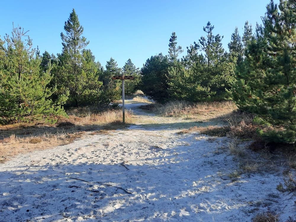 6 Person Holiday Home in Norre Nebel