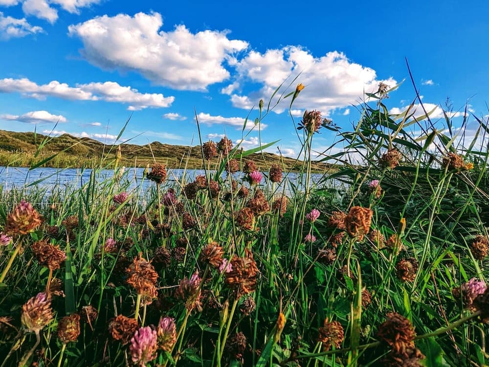 6 Person Holiday Home in Norre Nebel