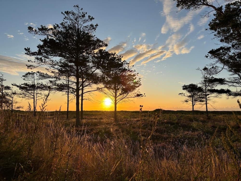 Holiday Home in Hals
