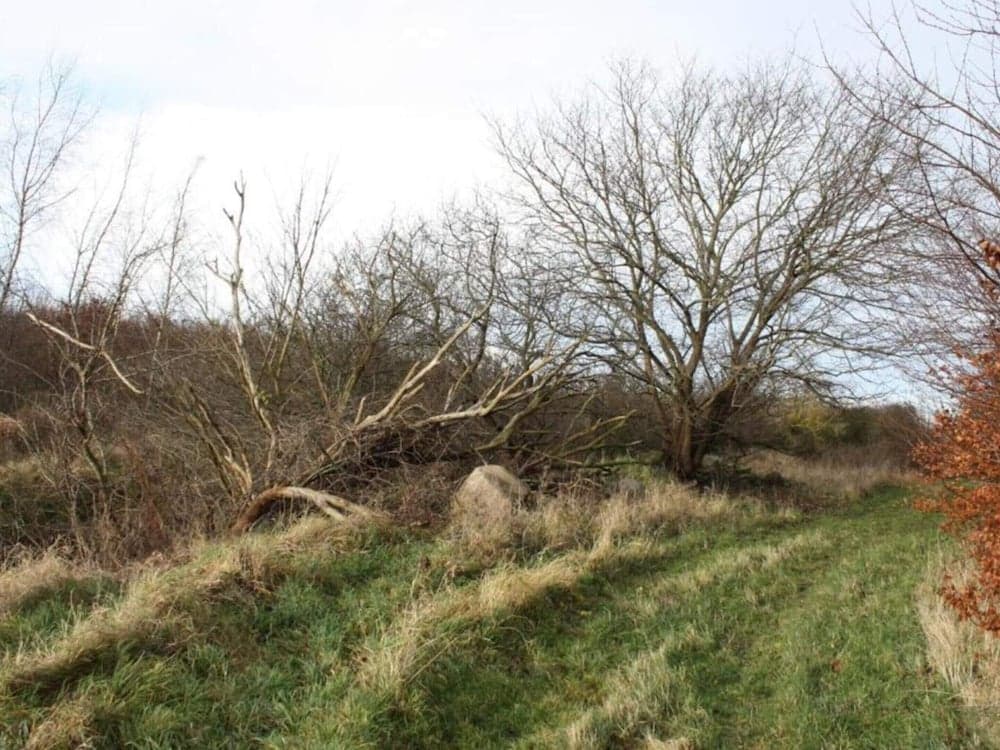 Tranquil Seaside Haven-by Traum