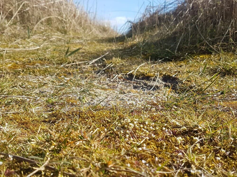 Seaside Sanctuary With Whirlpool-by Traum