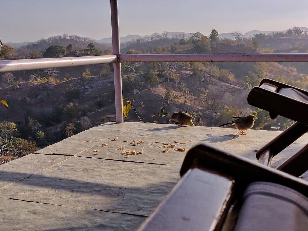 The Sky Imperial Jungle Camp Resort