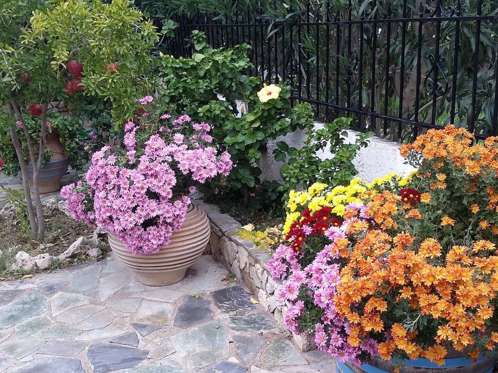 Exclusive Cottage in S West Crete in a Quiet Olive Grove Near the sea