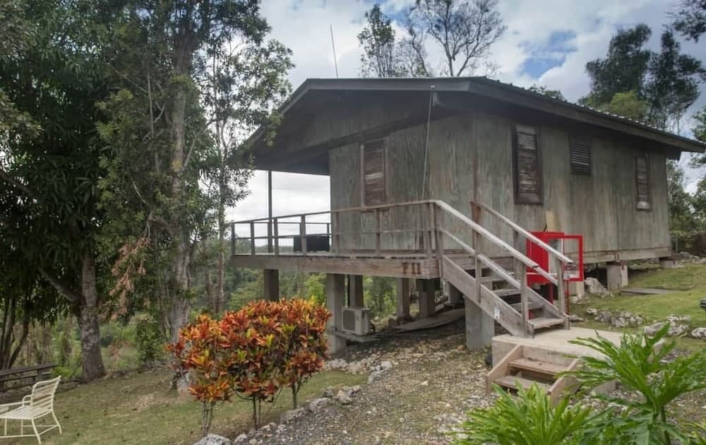 Arecibo Observatory-VSQ