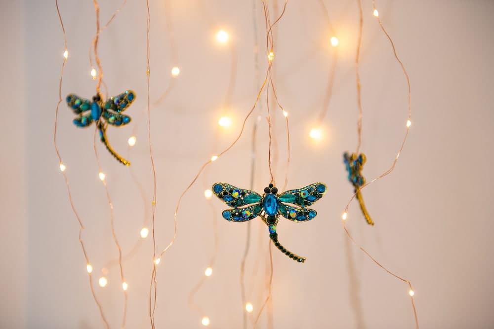 Just Stay Wales - Hadland House Mumbles