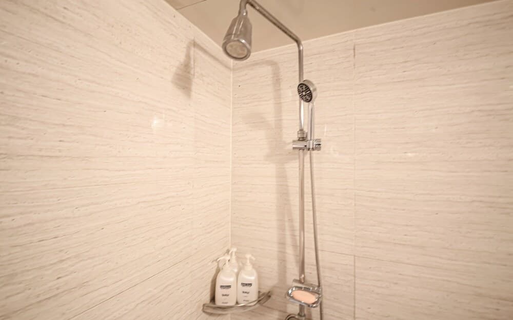 Seoul National University Violinh