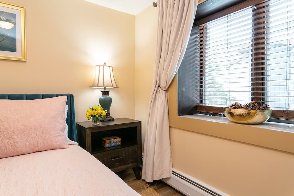 Designer Newly Renovated 1BR in Aspen