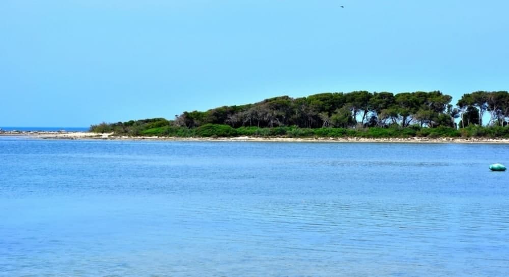 Stunning 1-bed Apartment in Porto Cesareo