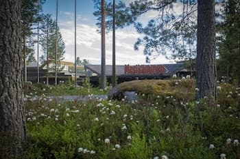 Hotelli Mesikämmen Oy